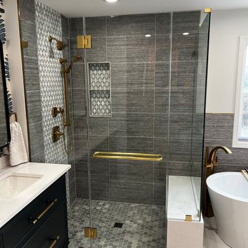 Carol Stream Master Bathroom