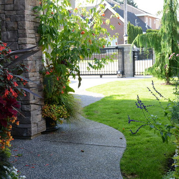 Poolside Garden and Containers