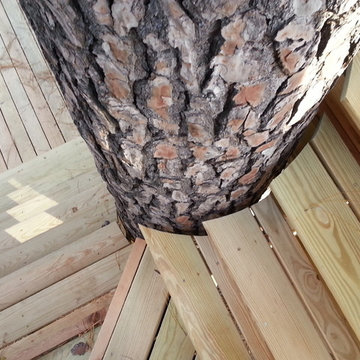 Dunn Treehouse