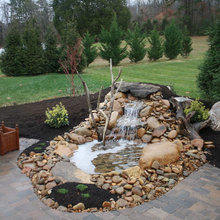 PONDS