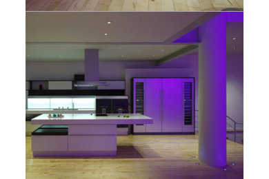 This is an example of a modern kitchen in London.
