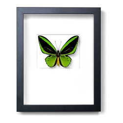 Wall Art - Products
