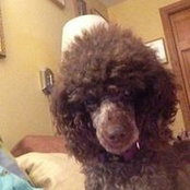 Barbara Brekke Hackman's photo