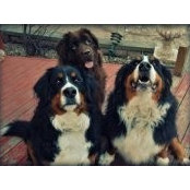 Heather Taylor's photo