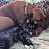Michele Kinman's photo