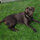 wendy_fraser2525499