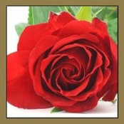 Kimberly Wheat's photo