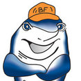 BuilderFish's profile photo