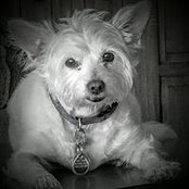 Lisa Finuff's photo