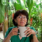 Sue Hofer's photo