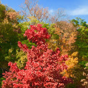 Nancy Miller's photo