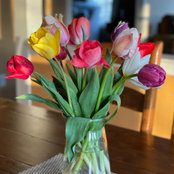 Sara Vanek's photo