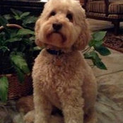 Cody Carter's photo