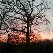 Photo de Deborah Tennyson Lessley