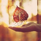 Jess Mccloskey-Warner's photo