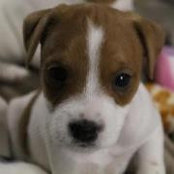 Krista Bruner's photo