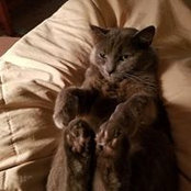 Foto di Deb Mogus