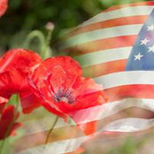 Jennifer Powell Breland's photo