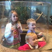 Andrew Young's photo