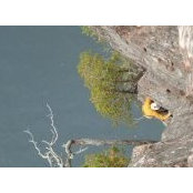 Aaron Brooks's photo