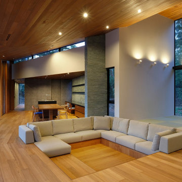 House IC