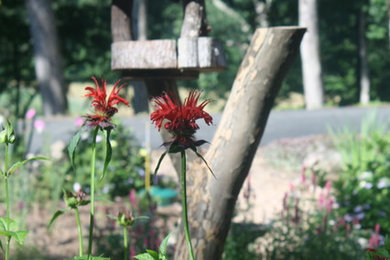This is an example of a craftsman landscaping in Charlotte.