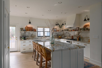 Example of a kitchen design in DC Metro