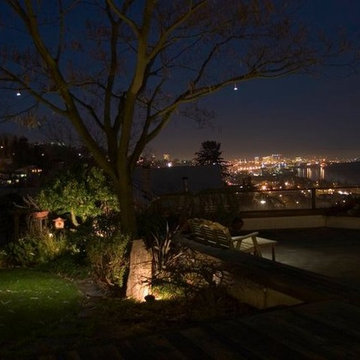 Landscape Lighting
