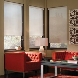 Roller Shades - Window Treatments