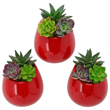 Small Round Wall Planters, Set of 3, Red