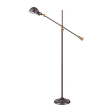 Floor Lamps