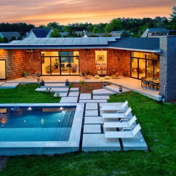 Modern Oasis