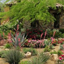 Landscape Ideas