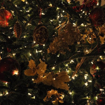 Christmas Tree's