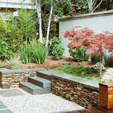 Plantings