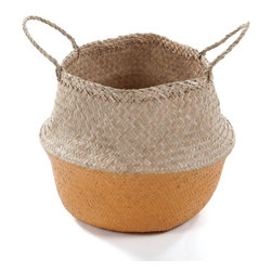Hosta Del Sol - Baskets
