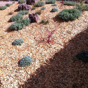 Front Lawn Rebate Project