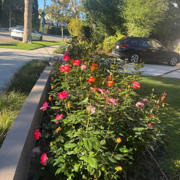 Flowers and Tree Care