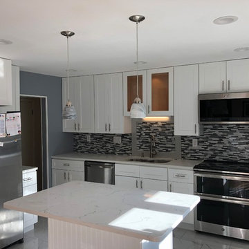 Noristown contemporary kitchen
