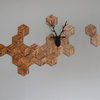 Natural Oak With Enhanced Black Grain Hexagon Tiles, Set of 5