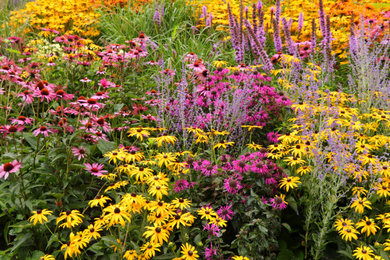 Design ideas for a landscaping in DC Metro.
