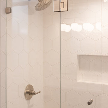 Park Ridge Renovation