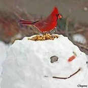 Jeannie Allen's photo