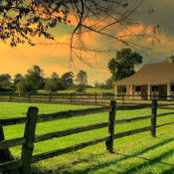 Don Cislo's photo
