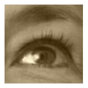 Silvana Rabino's photo