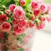 Julie Fellows's photo