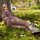 Shawnna Mora