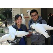 Gary Lim's photo