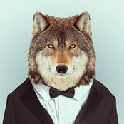 Tyler Wolf's photo
