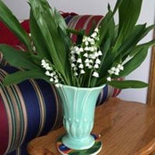 Jeanne Traaseth's photo